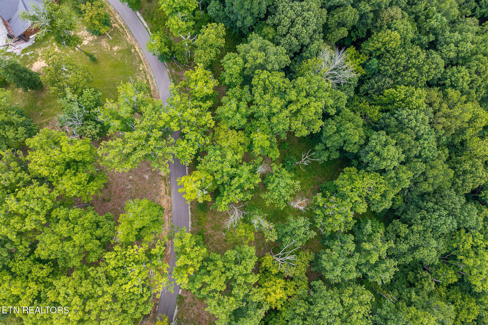 North Rock Fish Road Celina, TN 38551 - Photo 5 of 18 DJI_20250715142111_0050_D