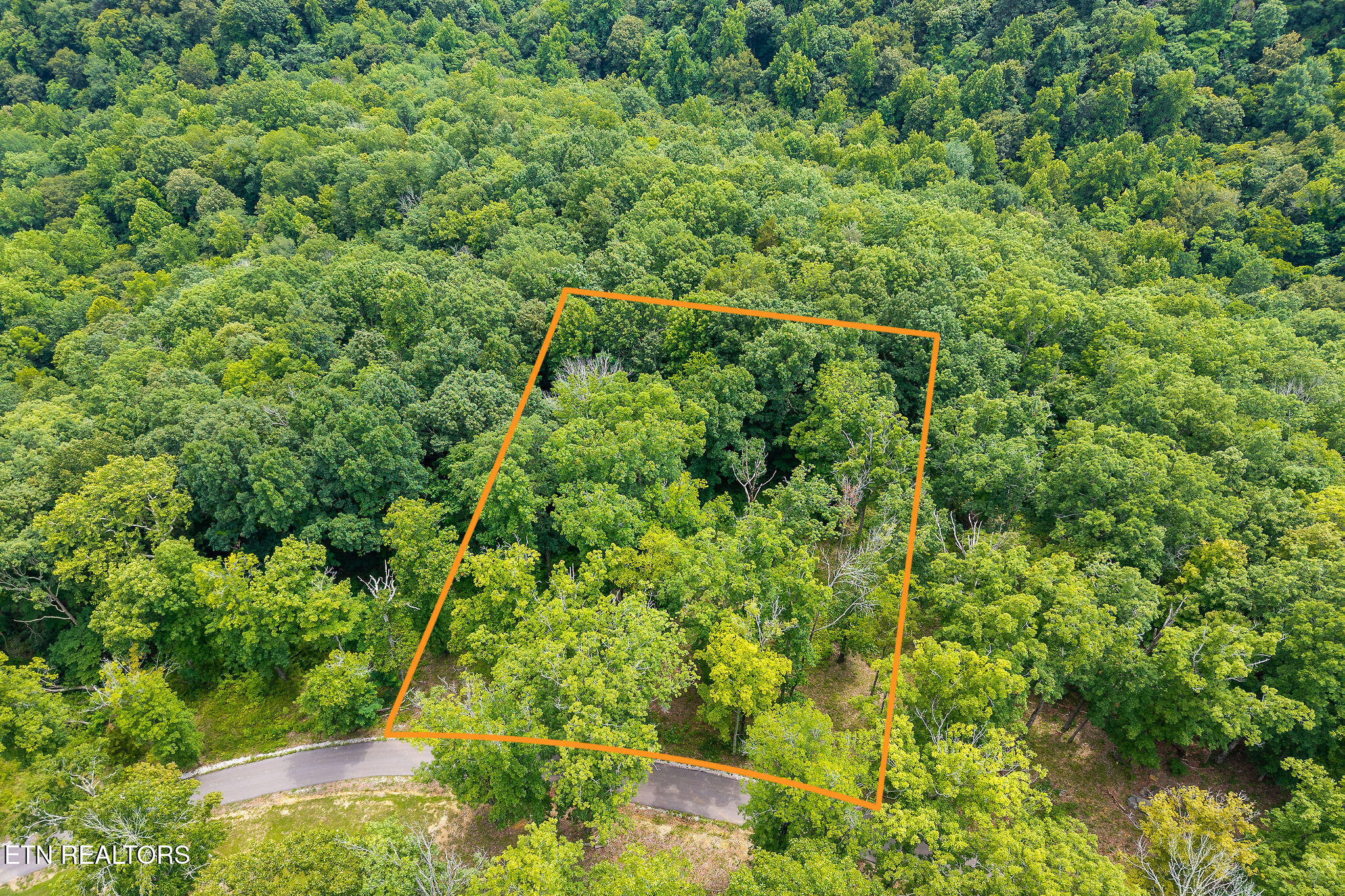 North Rock Fish Road Celina, TN 38551 - Photo 6 of 18 DJI_20250715143511_0052_D-Edit