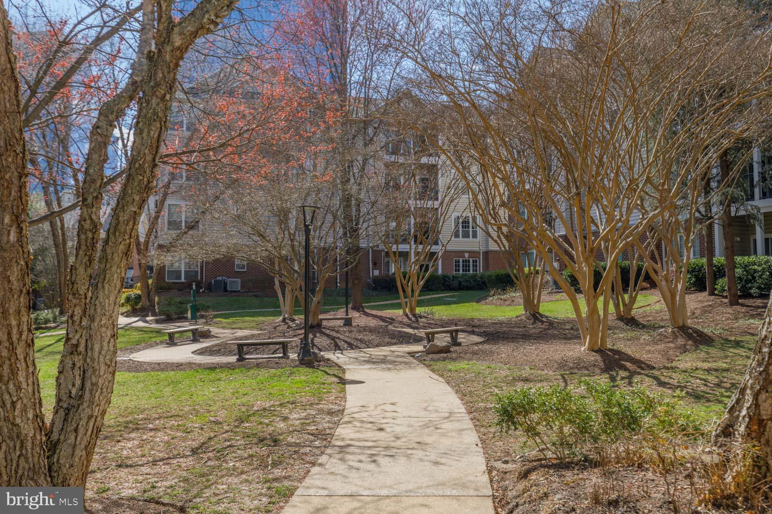 1530 Spring Gate Dr., Unit 9213 McLean, VA 22102 - Photo 22 of 24 a view of a park with a tree