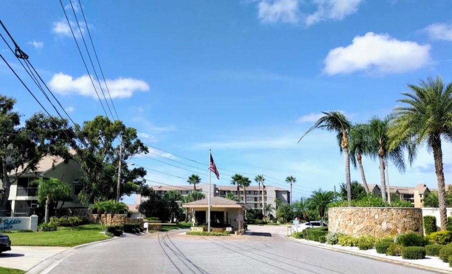25 Harborpointe Drive Port Richey, FL 34668 - Photo 15 of 21 a front view of a house with palm trees