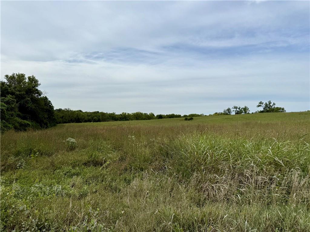 Lot 11 Cantrell Road Tonganoxie, KS 66086 - Photo 7 of 8