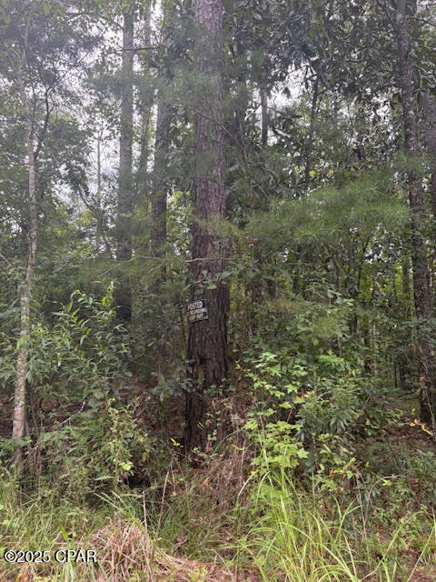 0 Point Milligan Road Quincy, FL 32352 - Photo 16 of 19