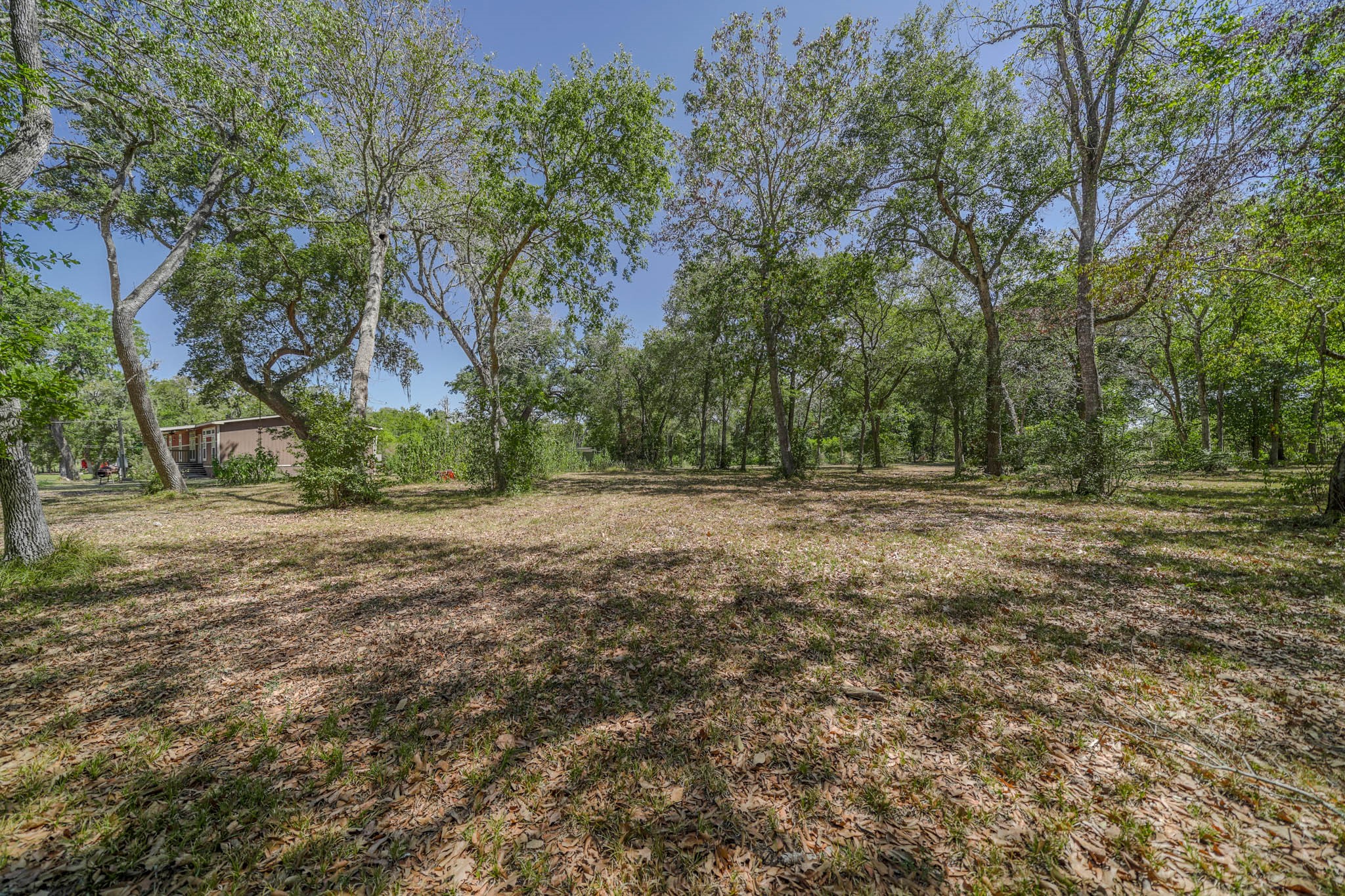 0 Pin Oak Street Rosharon, TX 77583 - Photo 2 of 4 So secluded and pretty!