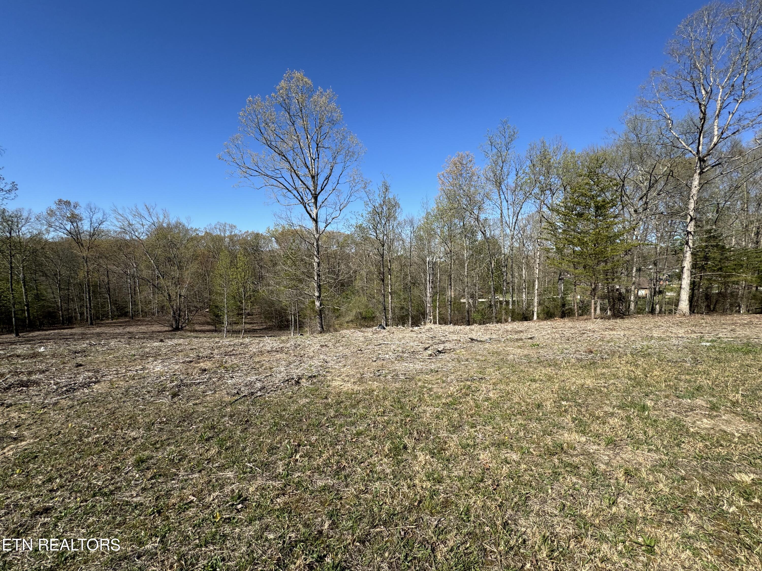 1191 Davis Ferry Road Loudon, TN 37774 - Photo 19 of 25 IMG_0954