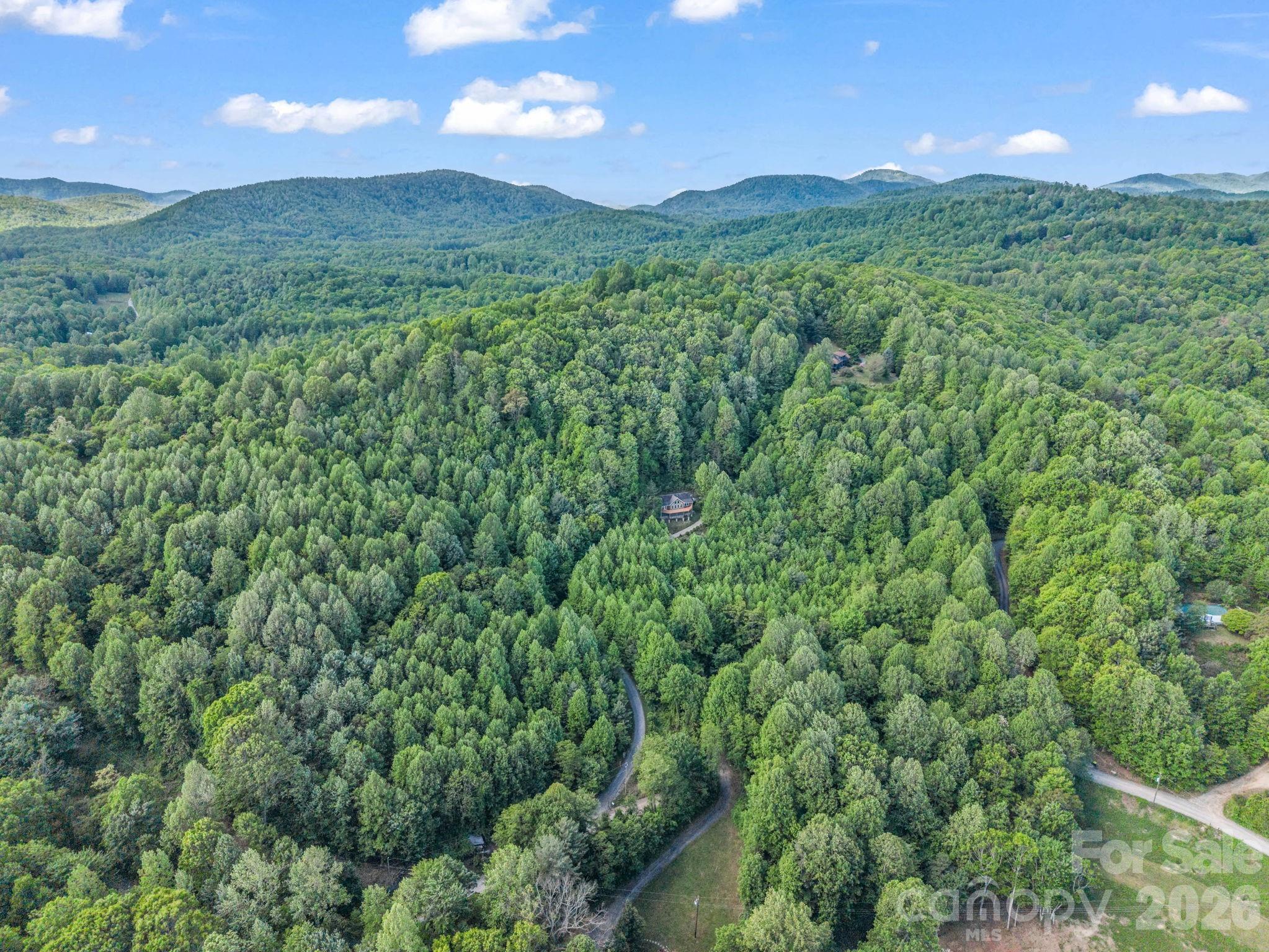603 Pace Mountain Road Saluda, NC 28773 - Photo 40 of 44 Gallery Image 40