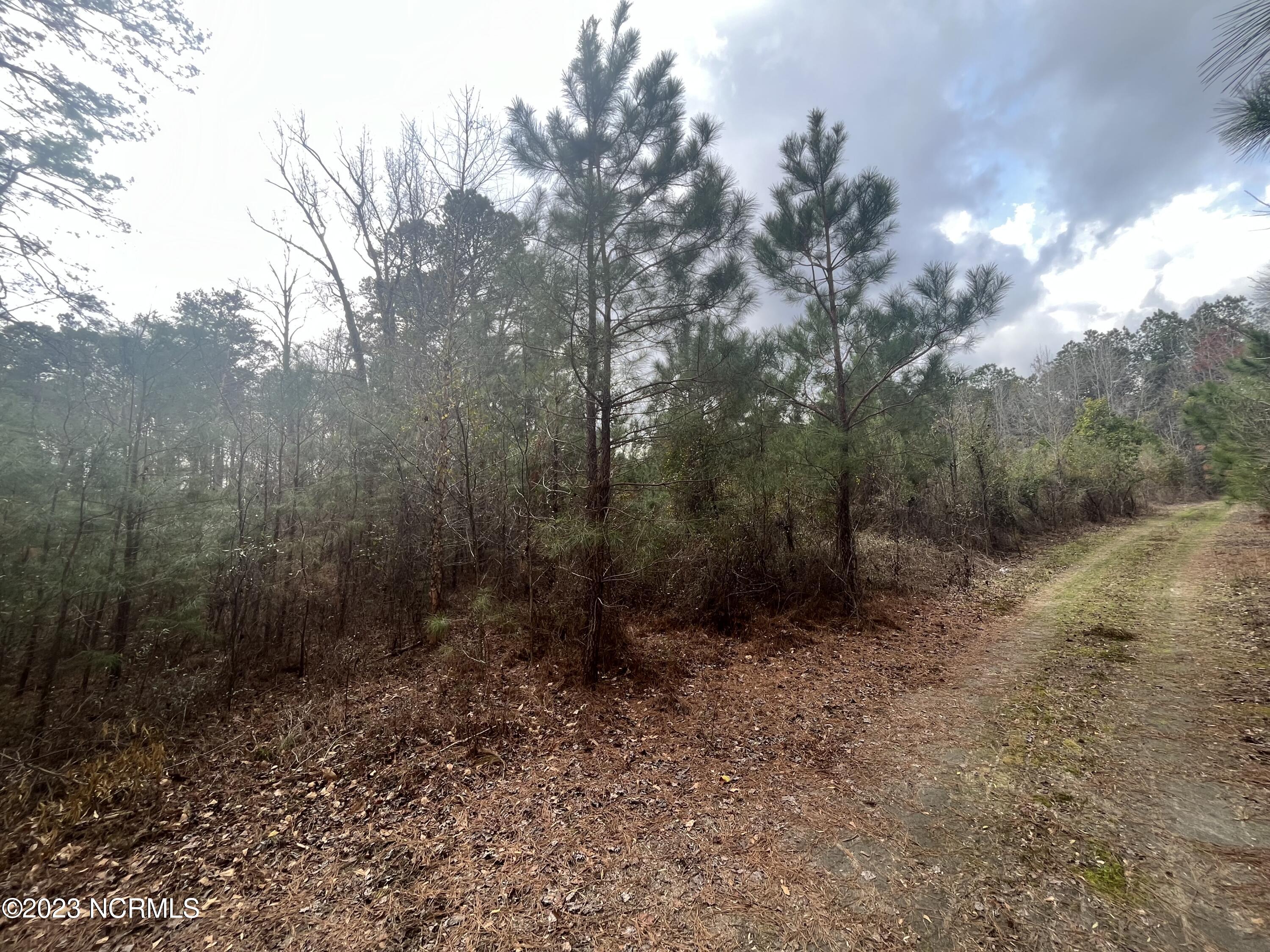 Lot 5 Patterson Road Kinston, NC 28504 - Photo 8 of 10 Photo Mar 01 2023, 2 21 36 PM