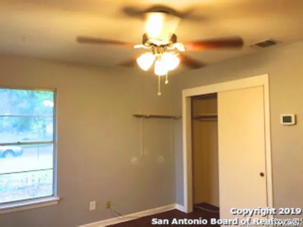 a view of a backyard with plants and large trees