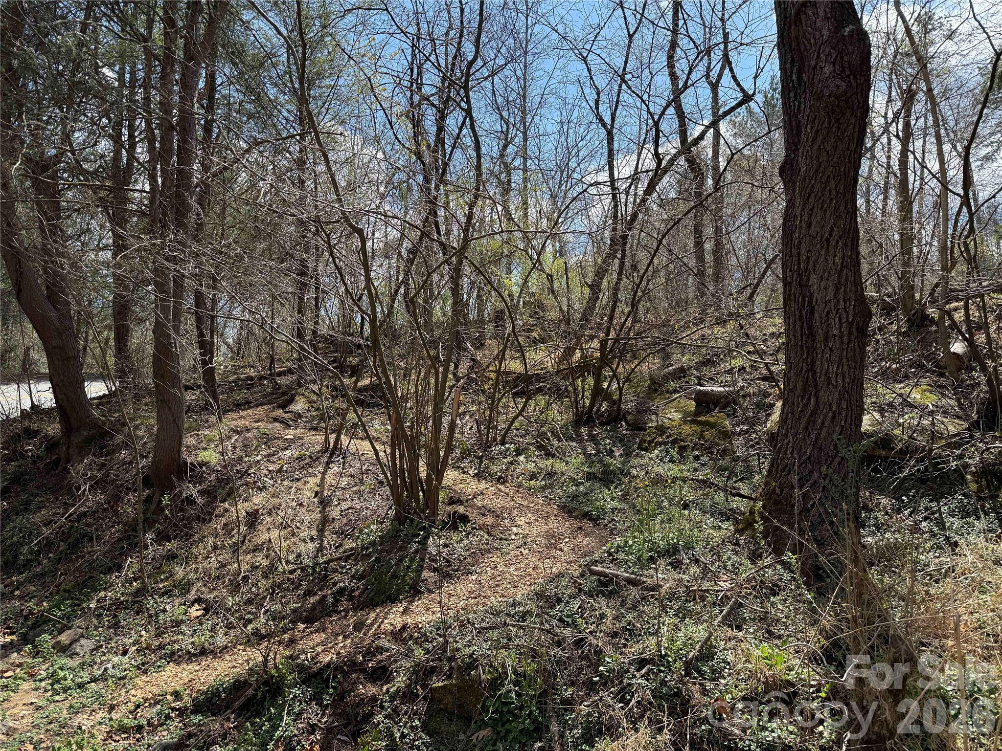 4 Zachary Ridge Road Asheville, NC 28804 - Photo 38 of 38