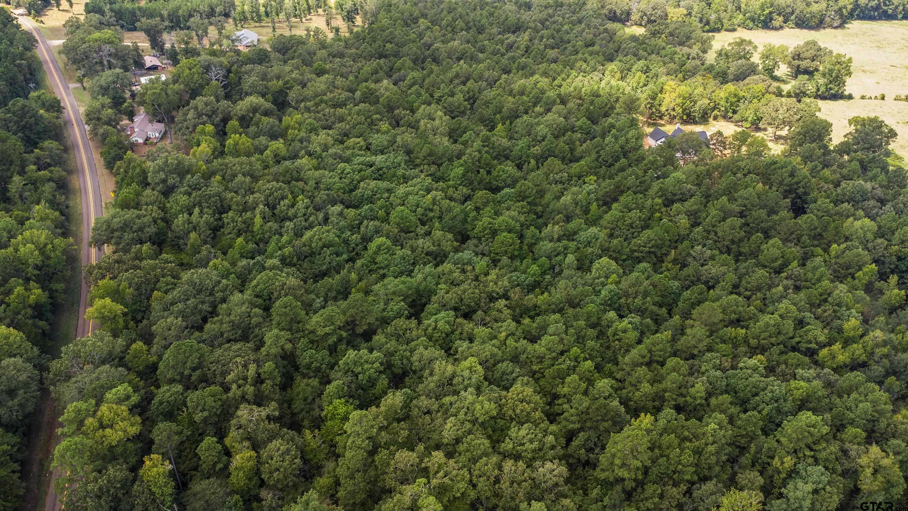 9315 Farm To Market Road 851 Rusk, TX 75785 - Photo 9 of 34 a view of a forest with a tree