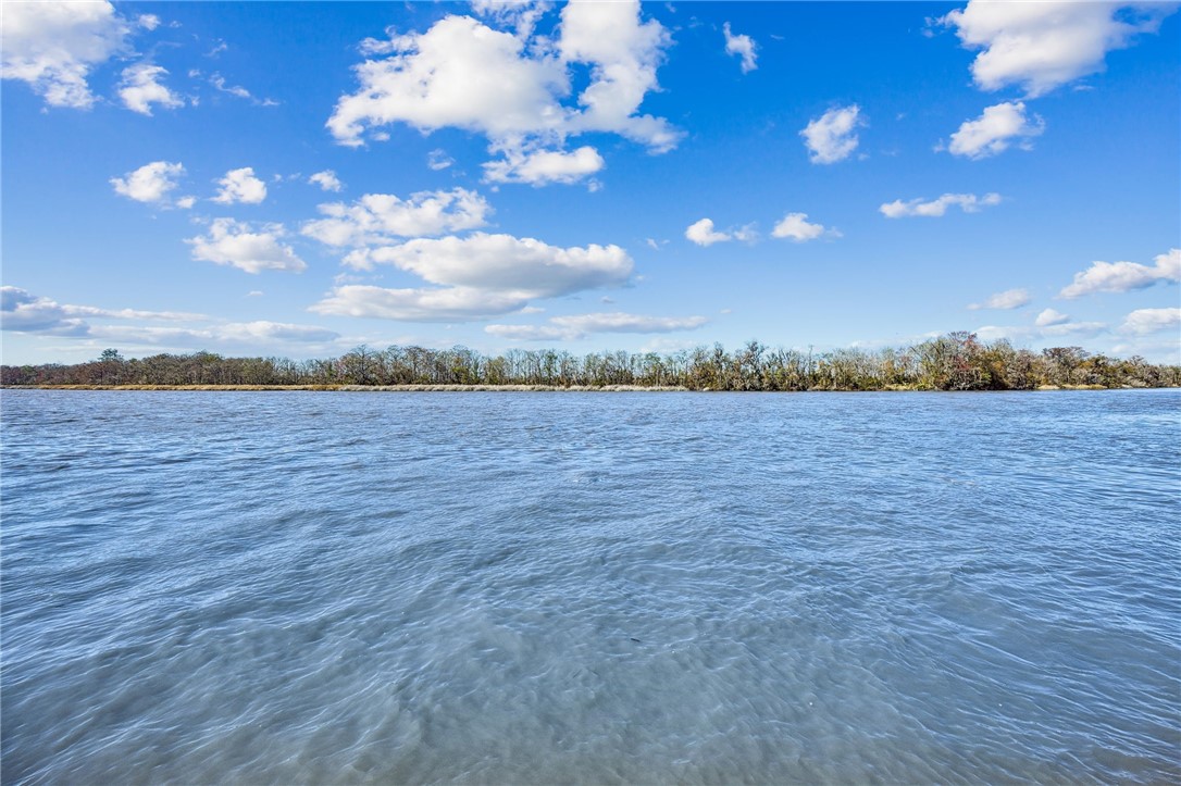 295 Incachee Court Woodbine, GA 31569 - Photo 54 of 60