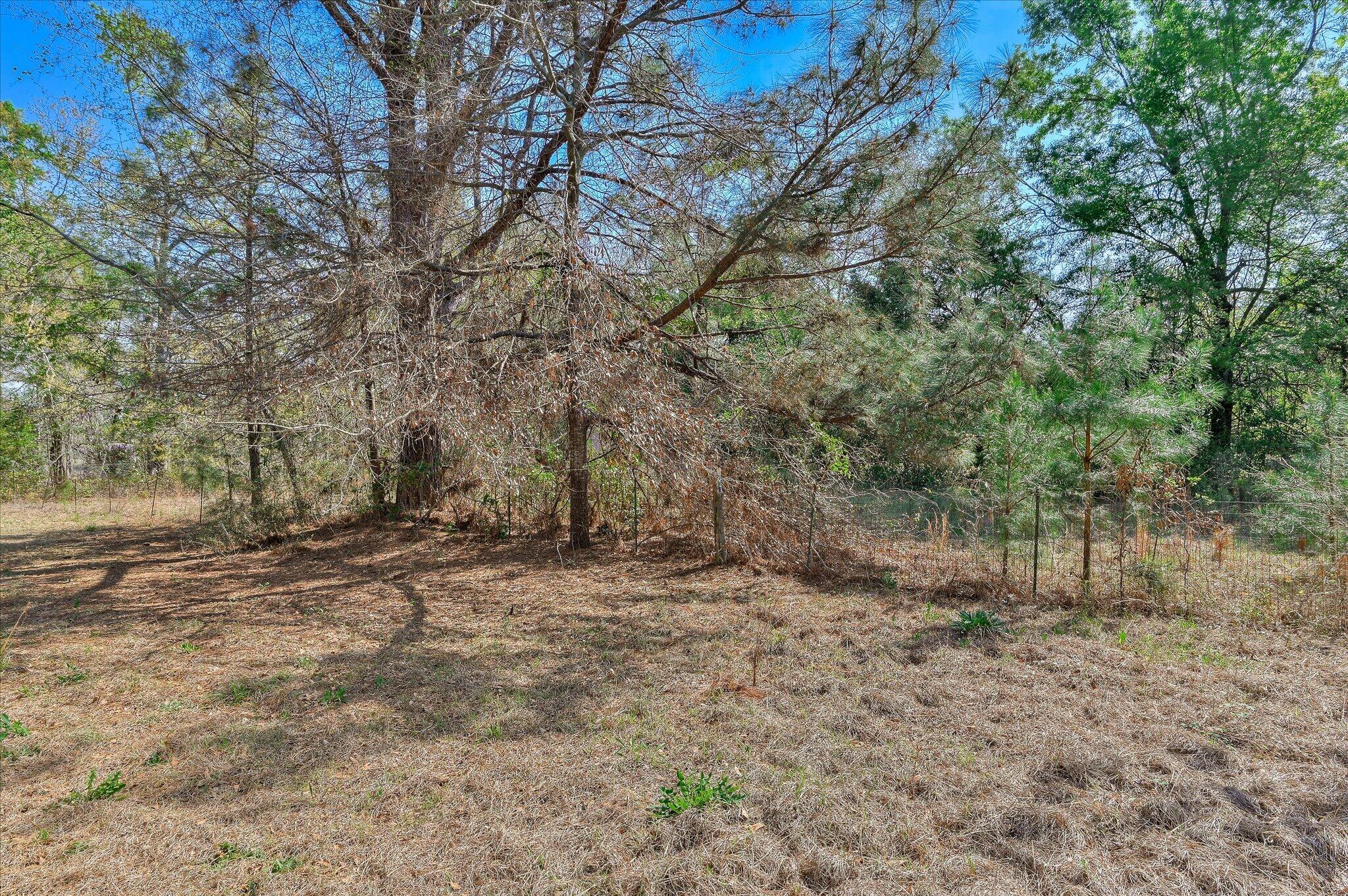 3440 Smith Road Blythe, GA 30805 - Photo 32 of 32 Backyard