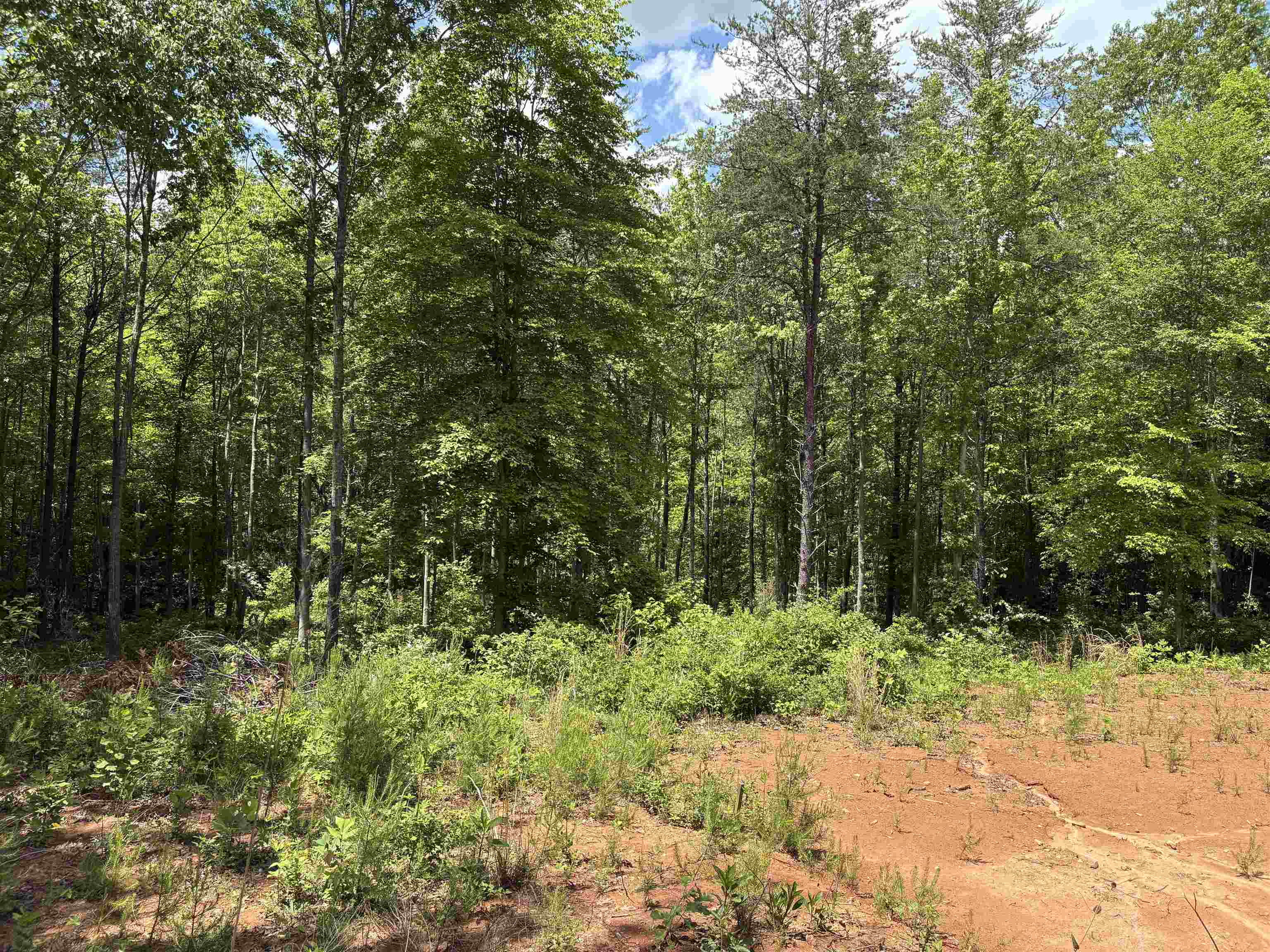 119 Tugaloo Road Landrum, SC 29356 - Photo 7 of 10