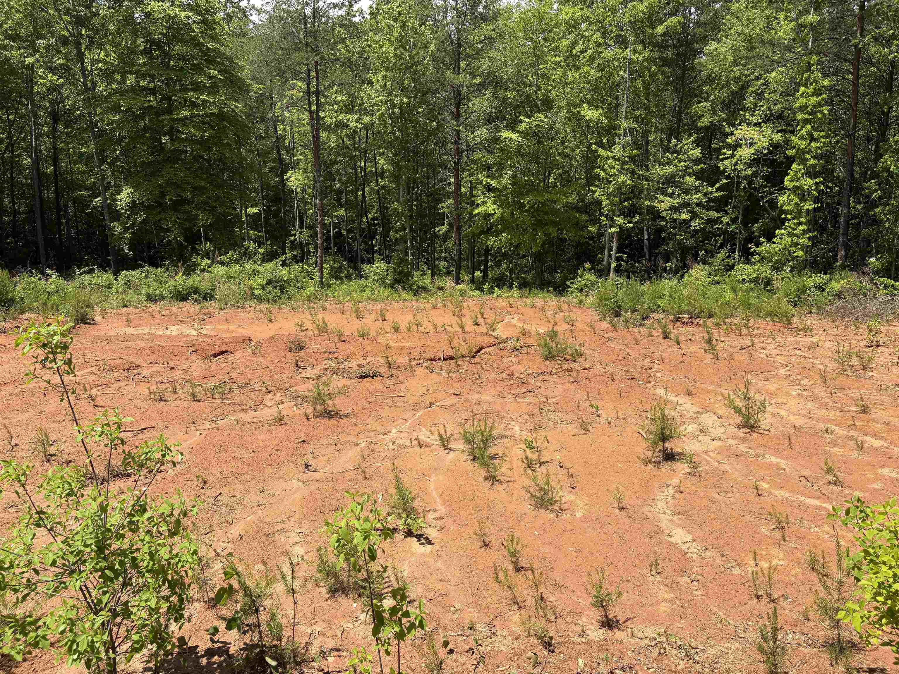 119 Tugaloo Road Landrum, SC 29356 - Photo 8 of 10