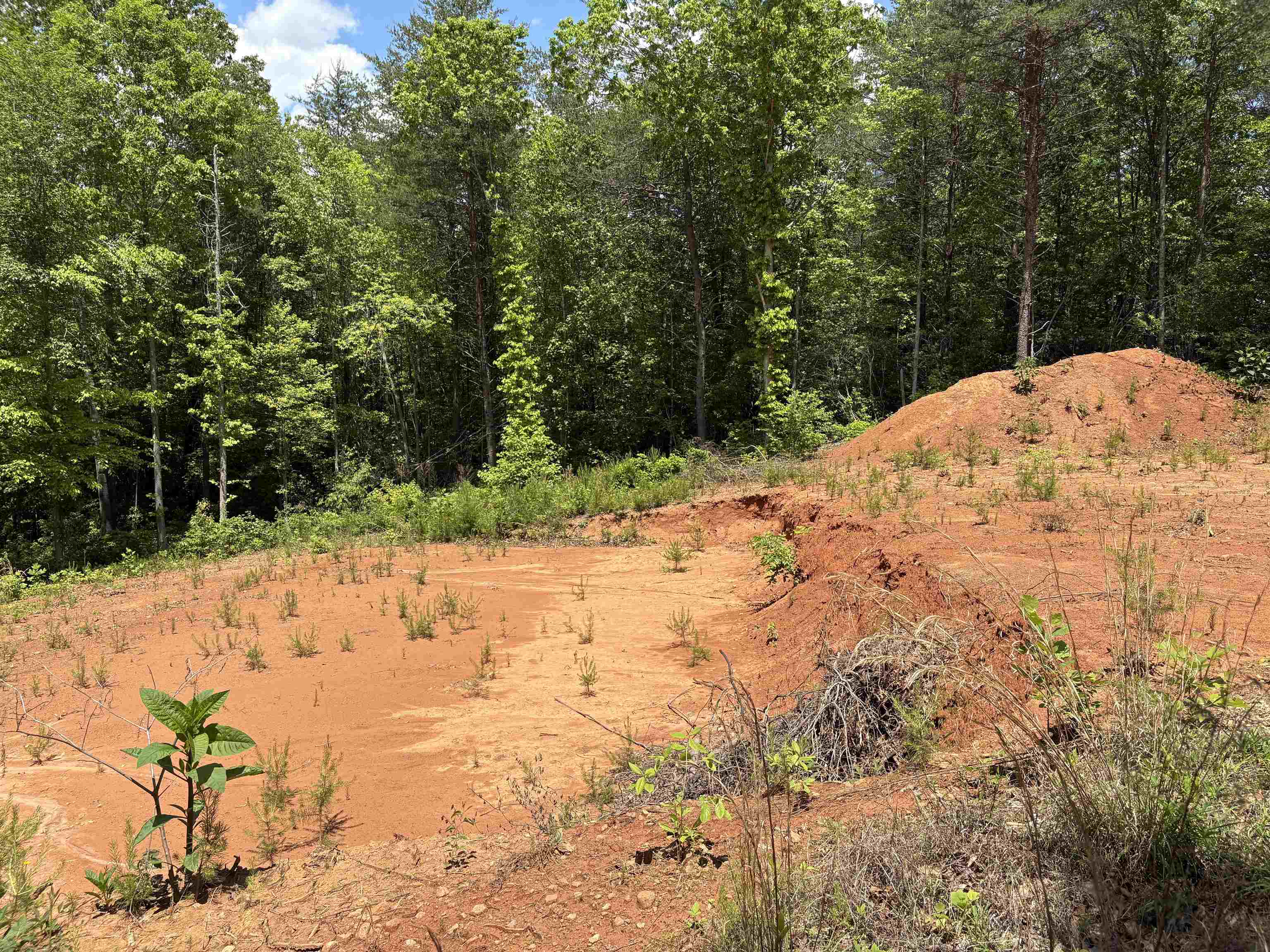 119 Tugaloo Road Landrum, SC 29356 - Photo 9 of 10