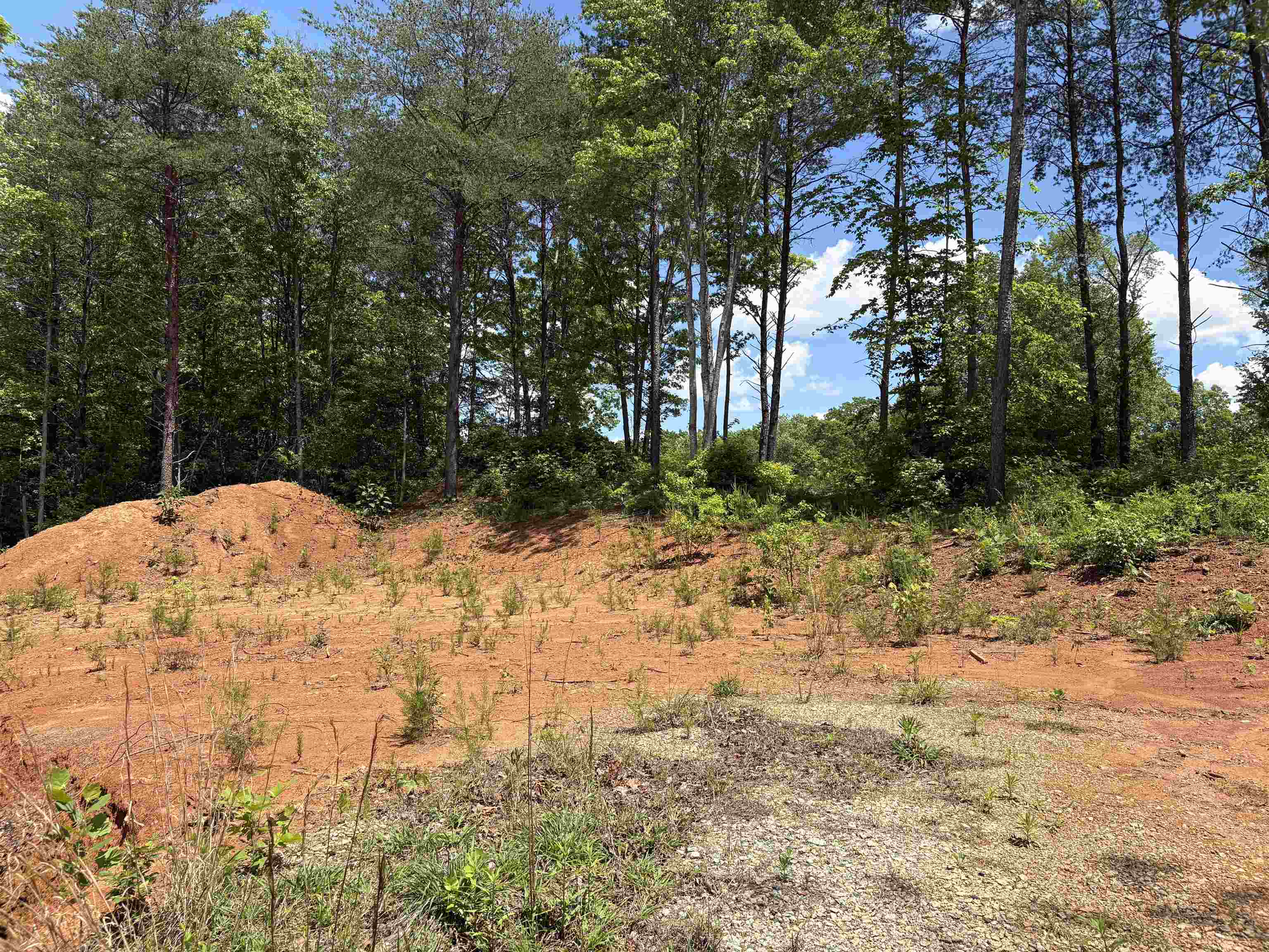 119 Tugaloo Road Landrum, SC 29356 - Photo 10 of 10