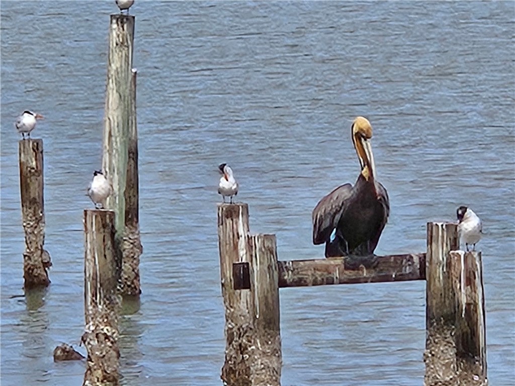 122 Ridge Harbor Drive Rockport, TX 78382 - Photo 8 of 34