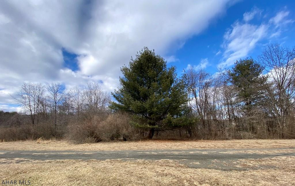 0 Cold Springs Road Huntingdon, PA 16652 - Photo 2 of 4 Gallery Image 2