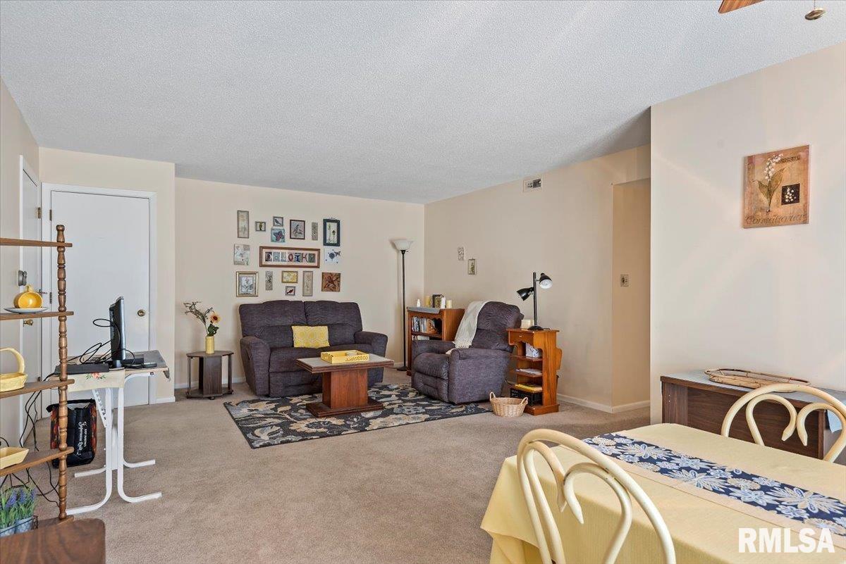 2081 West Monroe Street, Unit D Springfield, IL 62704 - Photo 13 of 24