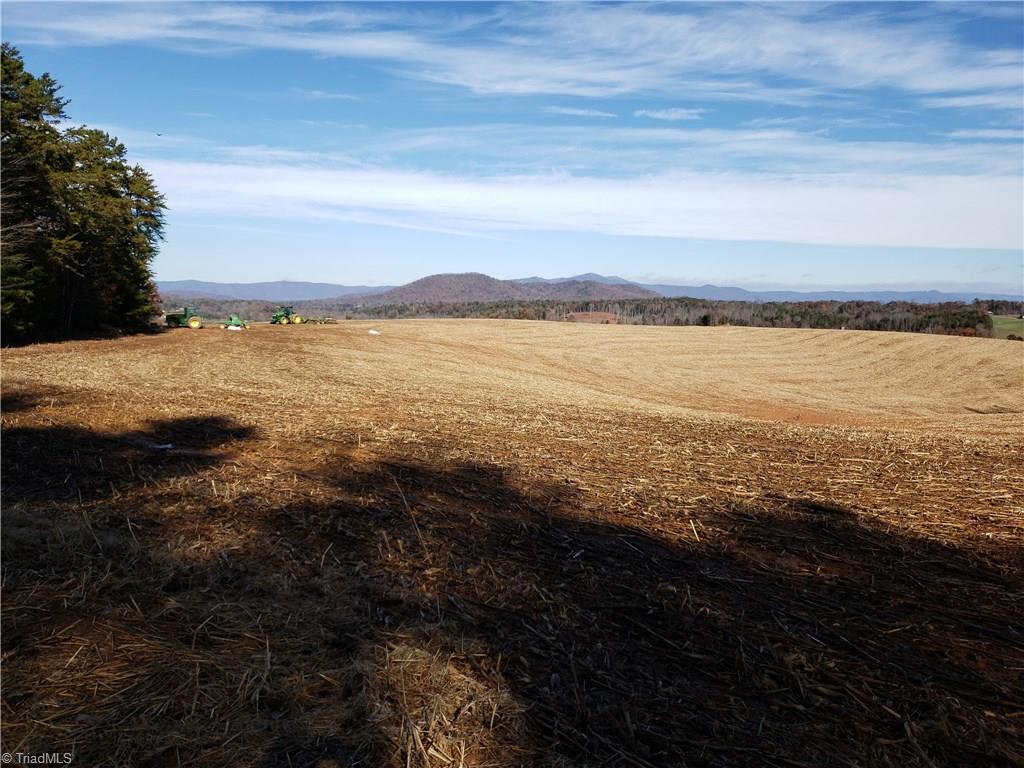 22-ac Hodges Mill Road Dobson, NC 27017 - Photo 1 of 11 Mountain view from the front of the property