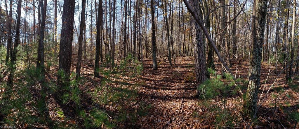 22-ac Hodges Mill Road Dobson, NC 27017 - Photo 4 of 11 Gallery Image 4
