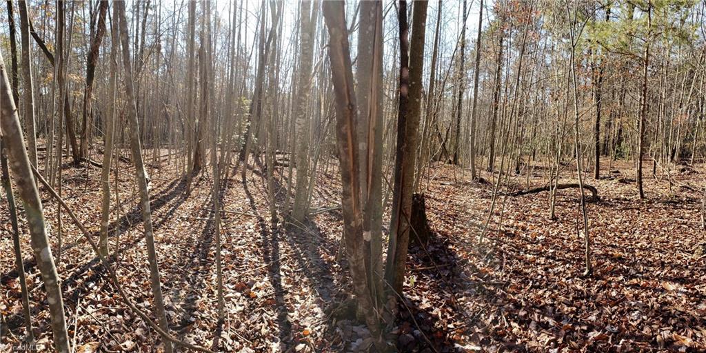 22-ac Hodges Mill Road Dobson, NC 27017 - Photo 5 of 11 Gallery Image 5
