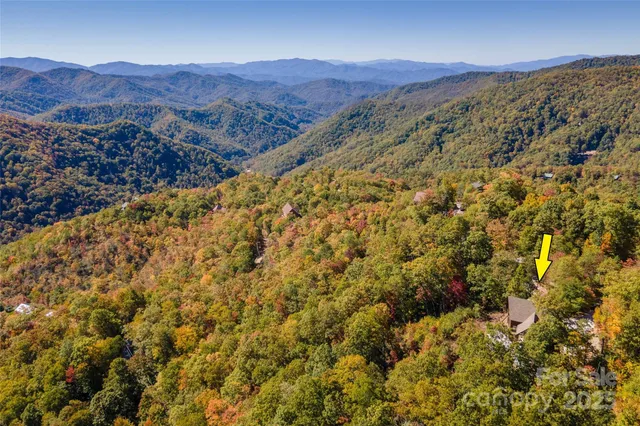 a view of a lush green hillside and a houses