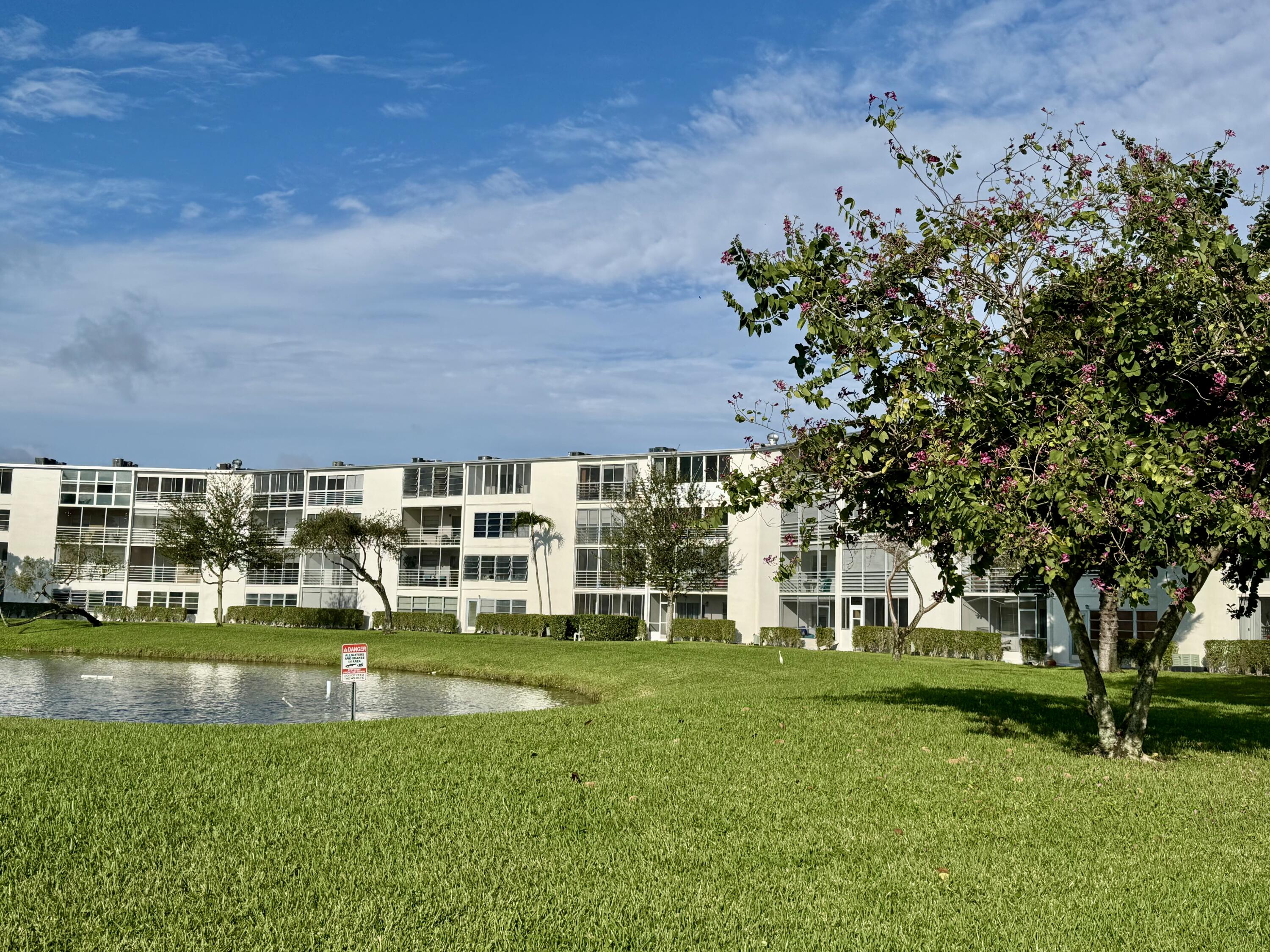 a view of a swimming pool with a garden