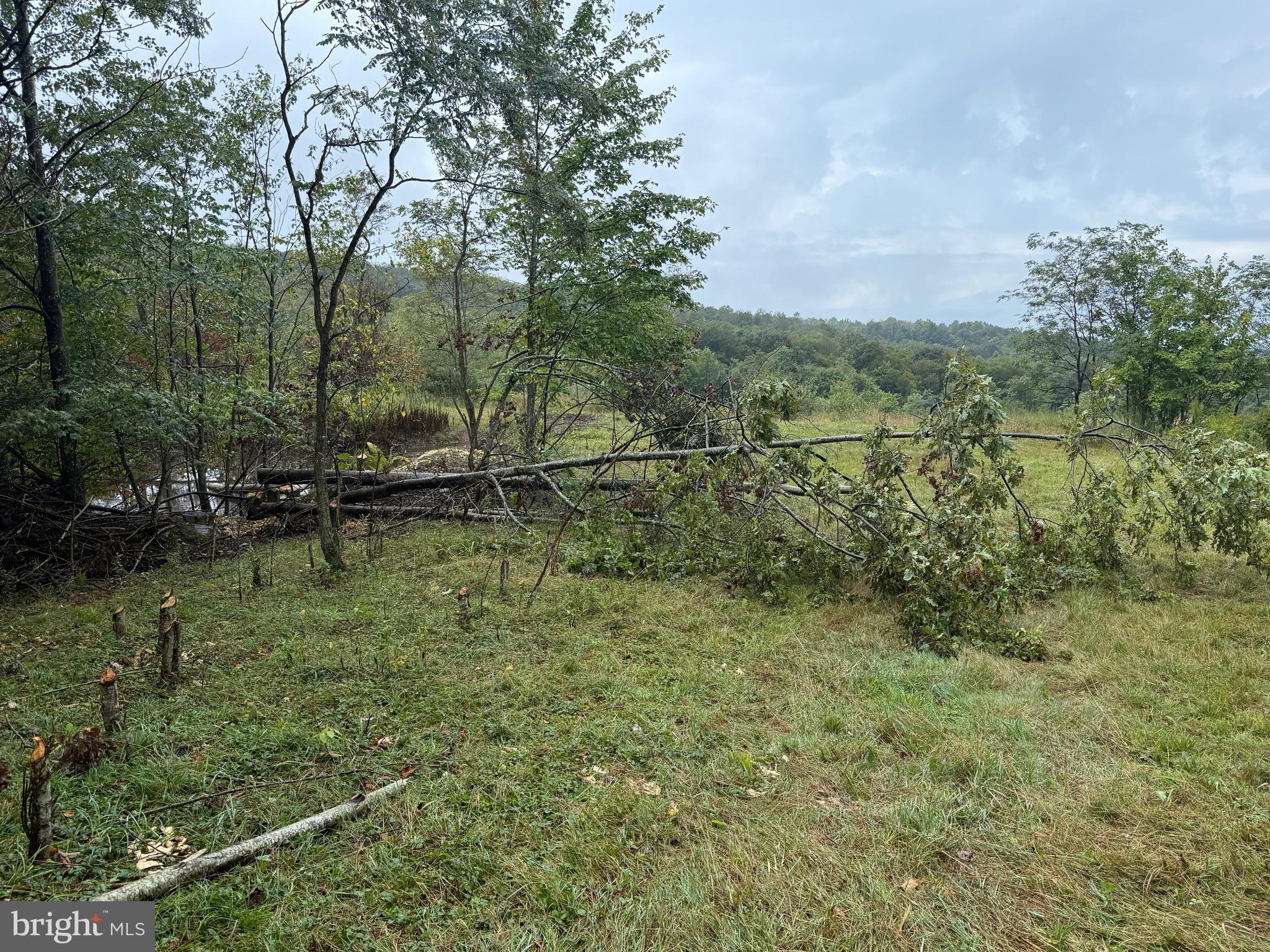 0 Pinnacle Road Keyser, WV 26726 - Photo 4 of 61