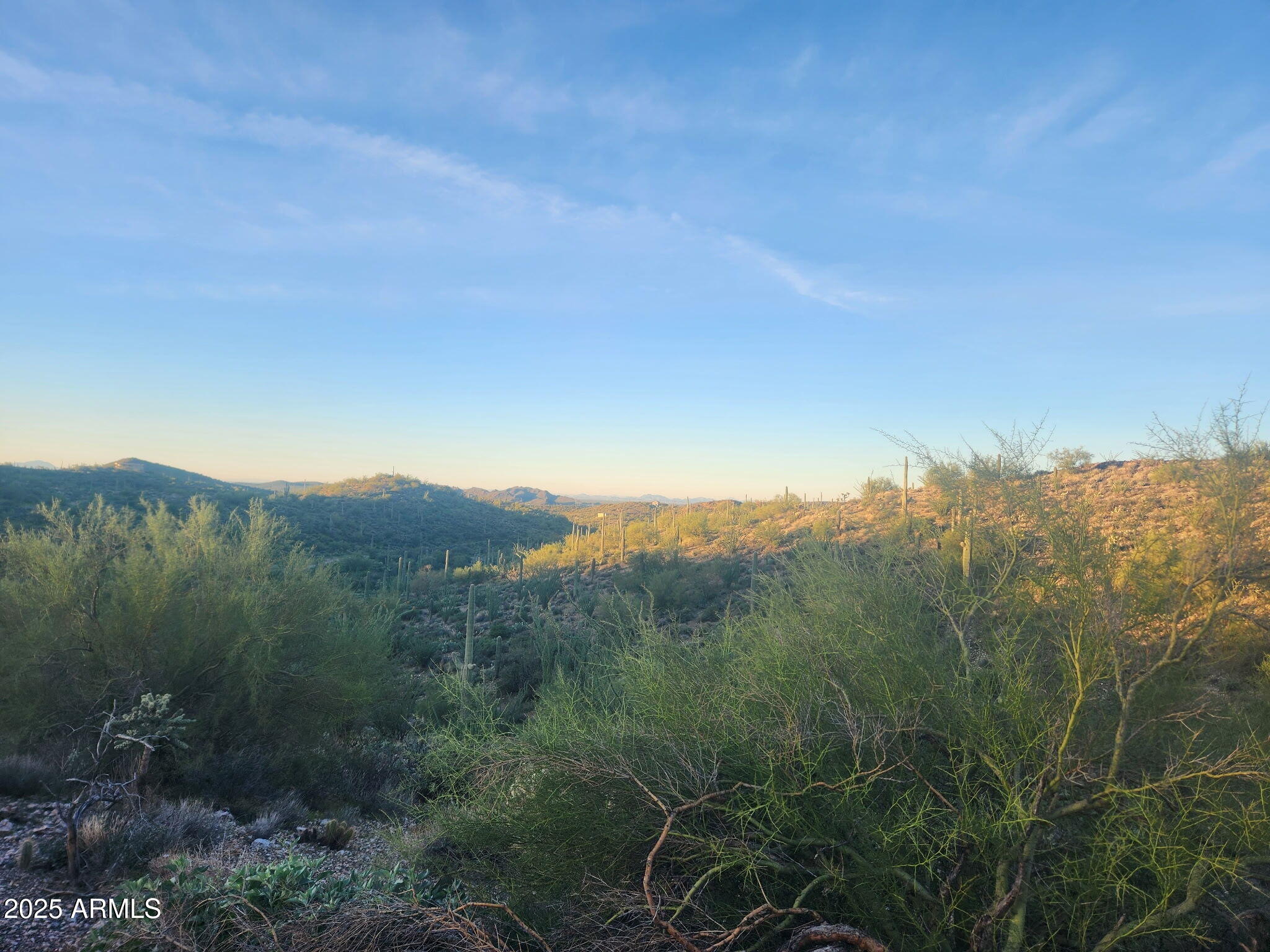 11-xx North Hardt Tank Road Gold Canyon, AZ 85118 - Photo 4 of 11 a view of a mountain range with trees in the background