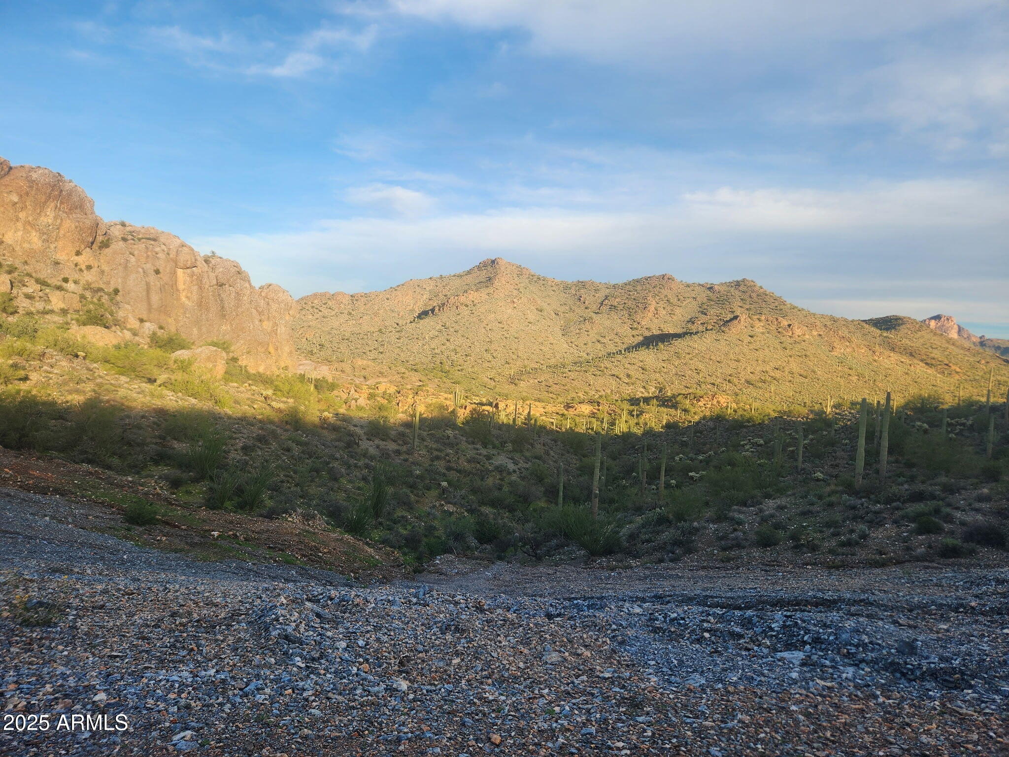 11-xx North Hardt Tank Road Gold Canyon, AZ 85118 - Photo 5 of 11 a view of a mountain range with trees