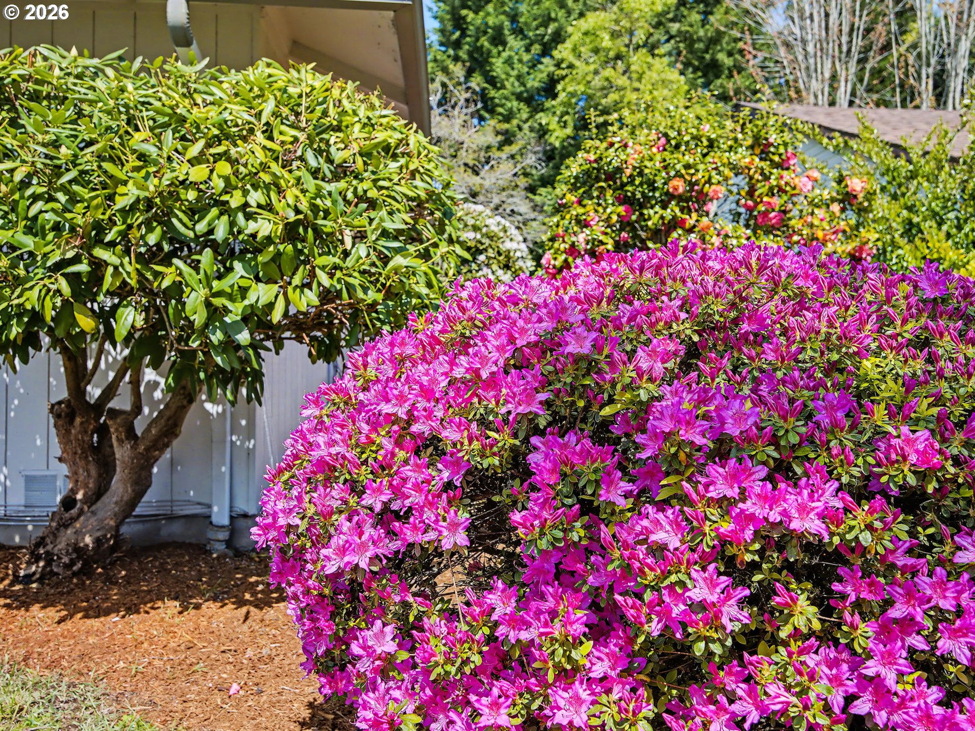 815 Northeast 25th Street Gresham, OR 97030 - Photo 43 of 44