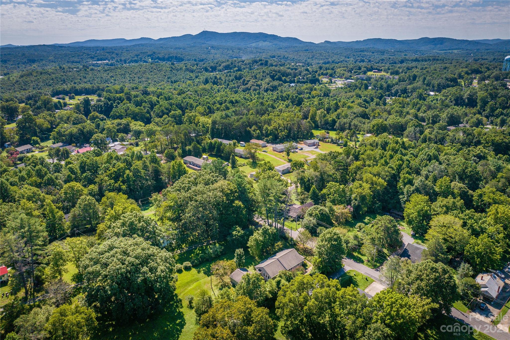 611 Vinearden Road Morganton, NC 28655 - Photo 28 of 32 a view of a forest with a street