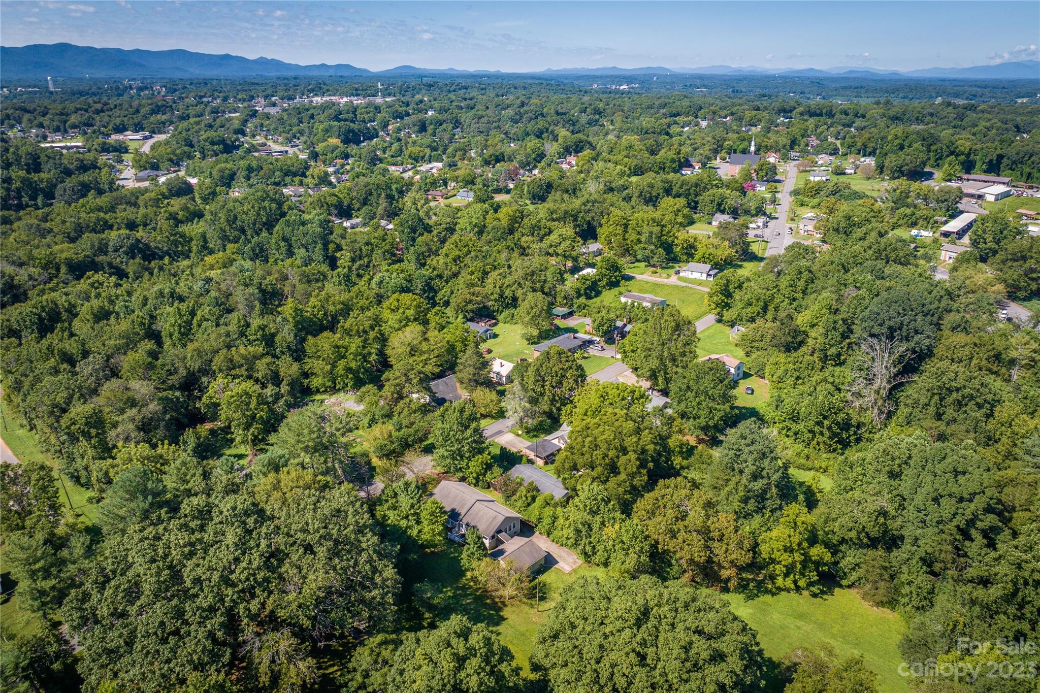611 Vinearden Road Morganton, NC 28655 - Photo 29 of 32 a view of a lush green field with lots of bushes