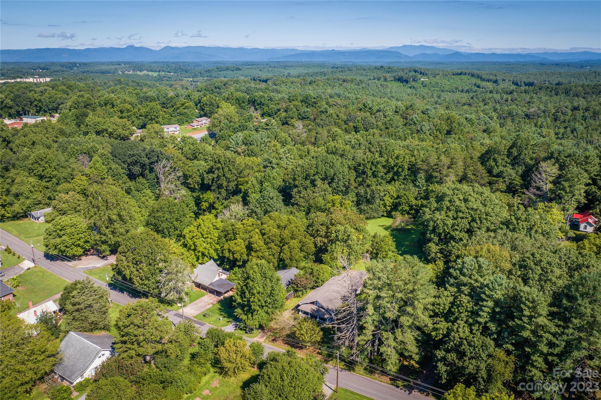 611 Vinearden Road Morganton, NC 28655 - Photo 32 of 32 a view of a lush green forest with lots of trees