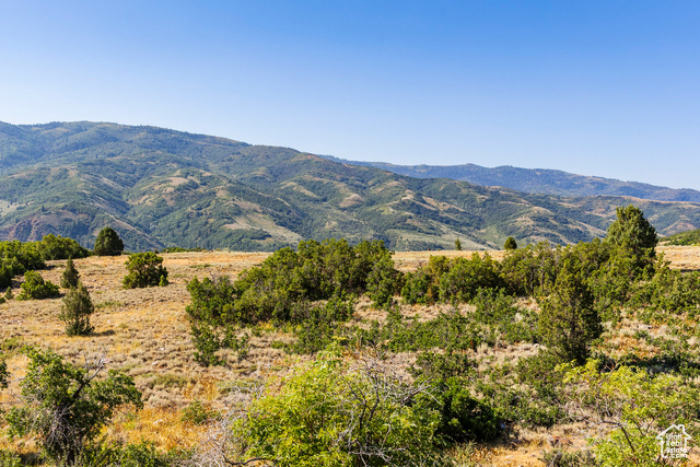 3344 North Oak Cyn Road, Unit 553 Huntsville, UT 84317 - Photo 8 of 16