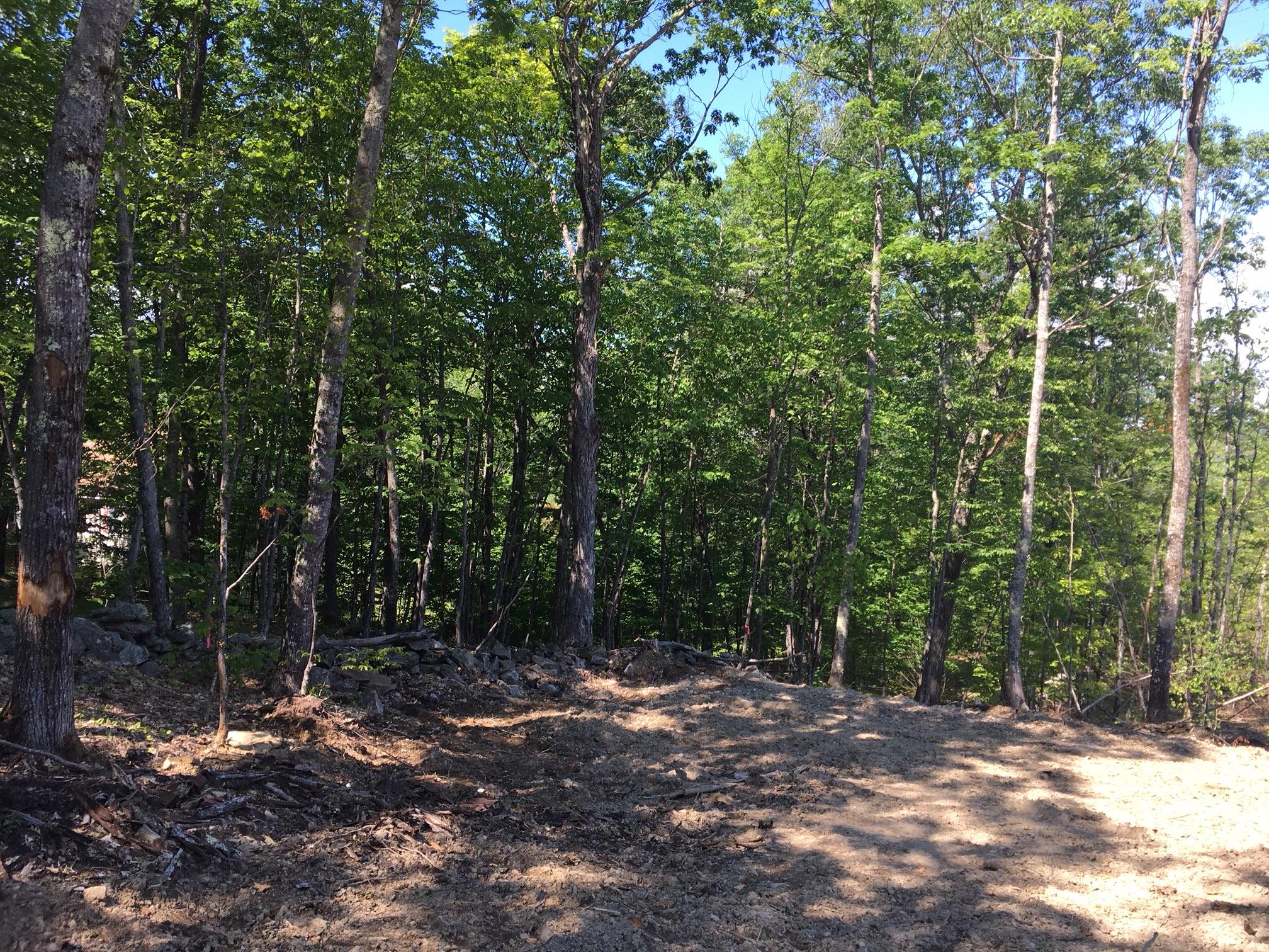 20-acres West Road Waterboro, ME 04087 - Photo 3 of 16 54A33486-B1C0-4525-954C-0388D2EF954E