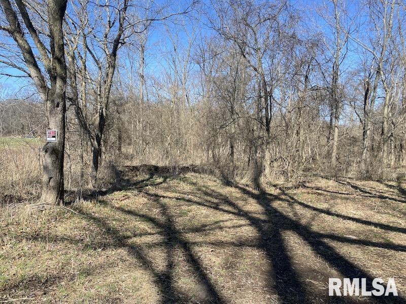 0 Hazel Dell Road Greenup, IL 62428 - Photo 16 of 61