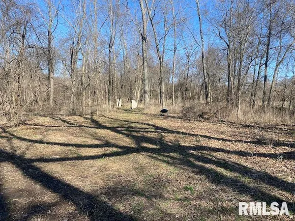 $44,000 | 0 Hazel Dell Road, Greenup, IL 62428