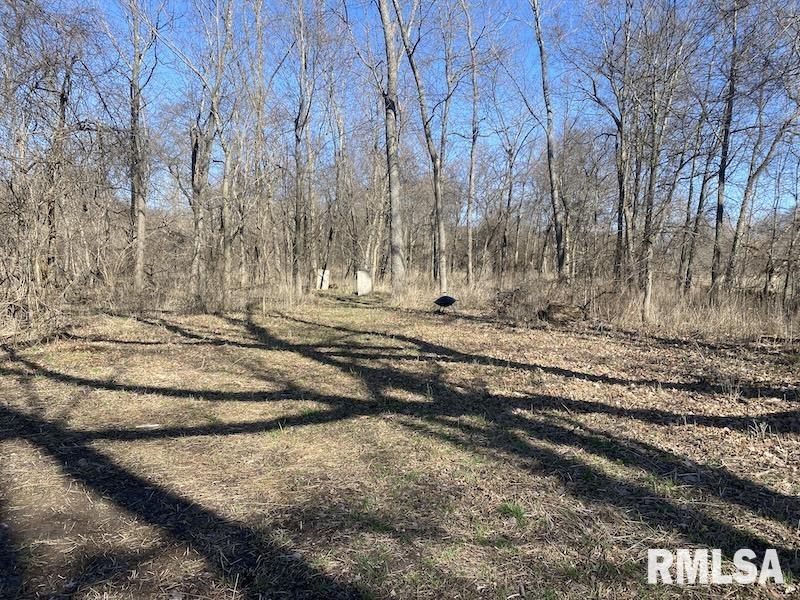 0 Hazel Dell Road Greenup, IL 62428 - Photo 17 of 61