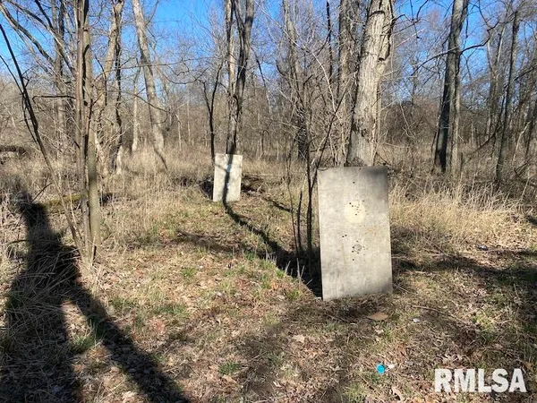 $44,000 | 0 Hazel Dell Road, Greenup, IL 62428