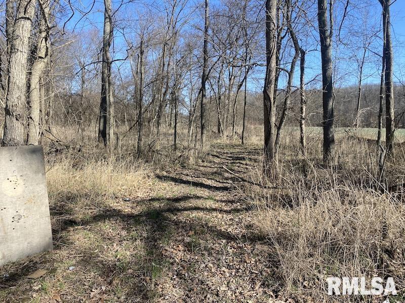 0 Hazel Dell Road Greenup, IL 62428 - Photo 19 of 61