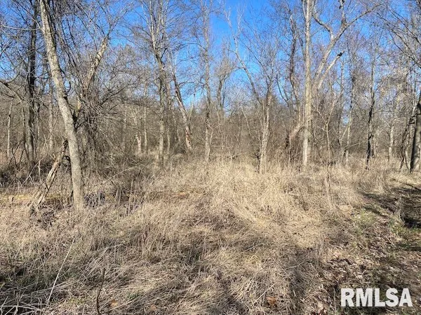 $44,000 | 0 Hazel Dell Road, Greenup, IL 62428