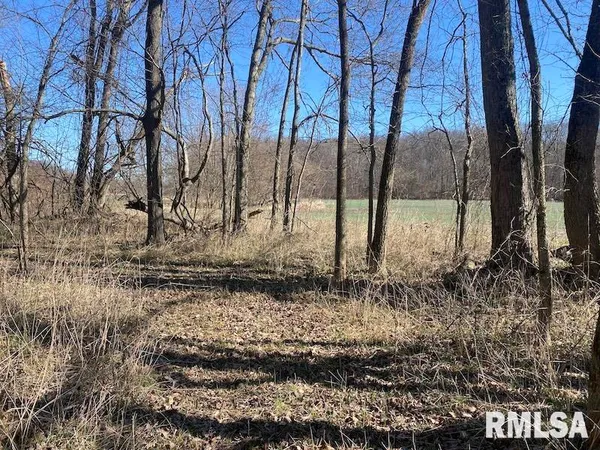 $44,000 | 0 Hazel Dell Road, Greenup, IL 62428