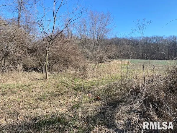 $44,000 | 0 Hazel Dell Road, Greenup, IL 62428