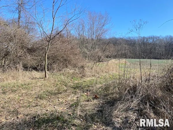 $44,000 | 0 Hazel Dell Road, Greenup, IL 62428