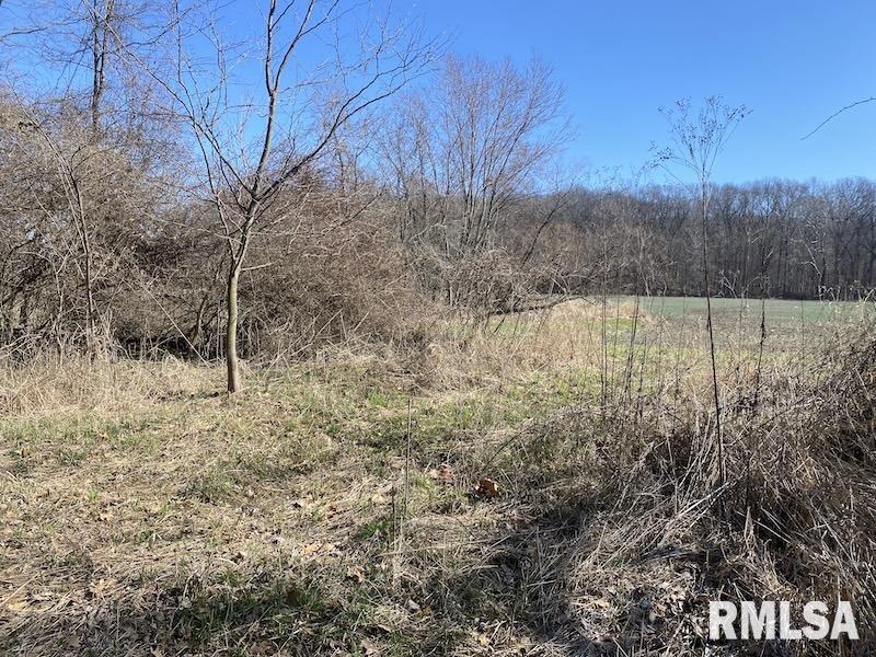 0 Hazel Dell Road Greenup, IL 62428 - Photo 23 of 61