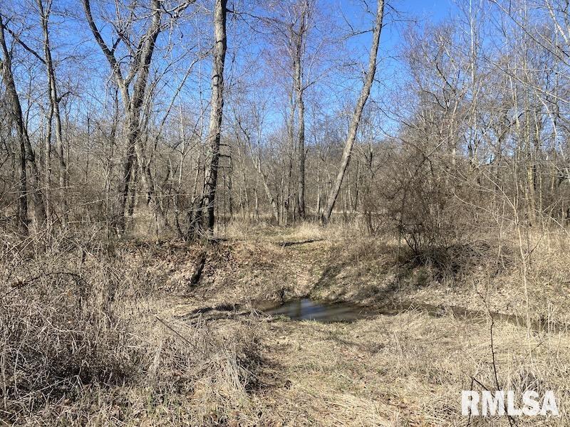 0 Hazel Dell Road Greenup, IL 62428 - Photo 24 of 61