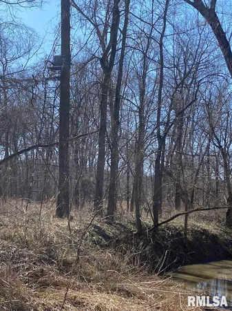 $44,000 | 0 Hazel Dell Road, Greenup, IL 62428