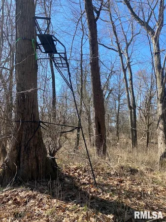 $44,000 | 0 Hazel Dell Road, Greenup, IL 62428