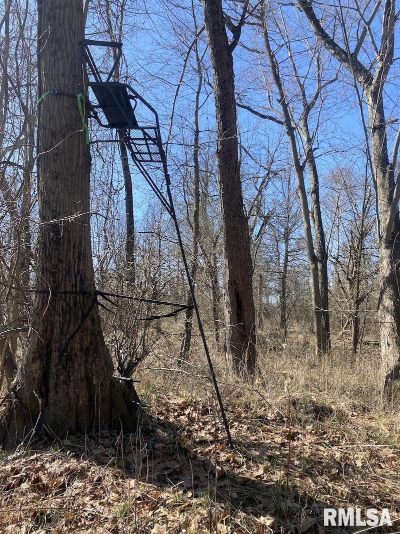 0 Hazel Dell Road Greenup, IL 62428 - Photo 26 of 61